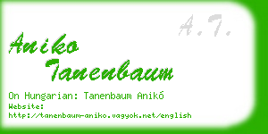 aniko tanenbaum business card
